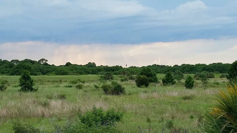 Coronavirus and Being Outdoors