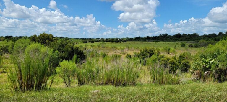 Hundred Acre Hollows vies for for Gannett Foundation Grant